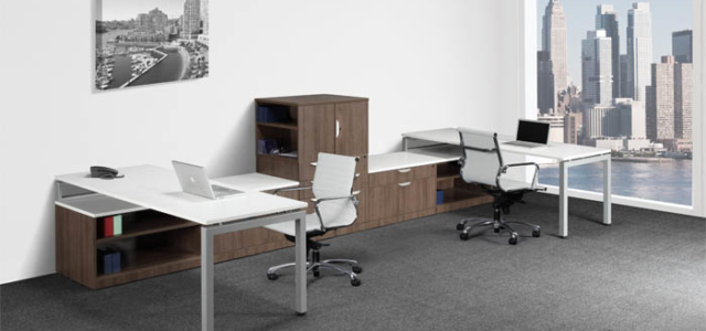 PREMIERA ELEMENTS PLUS DUAL WORKSTATION